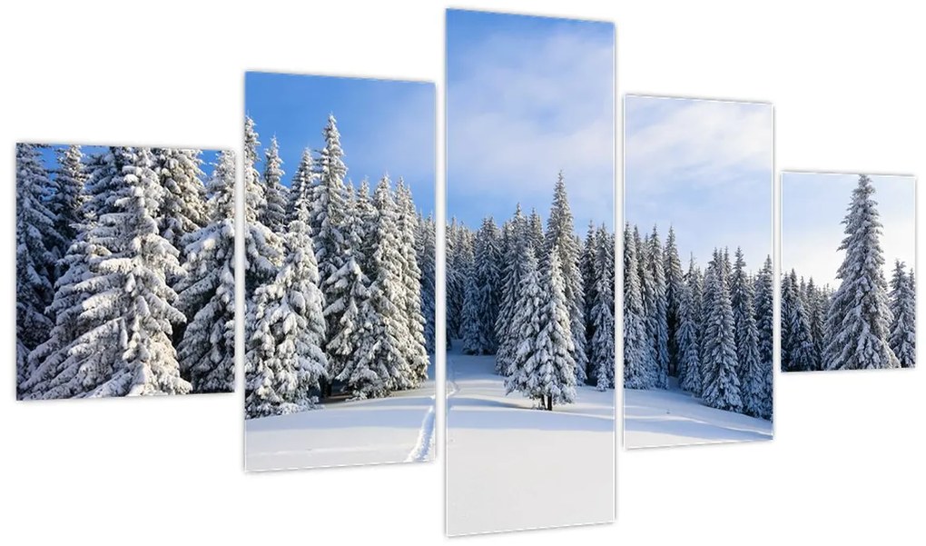 Obraz - Zima w lasach (125x70 cm)