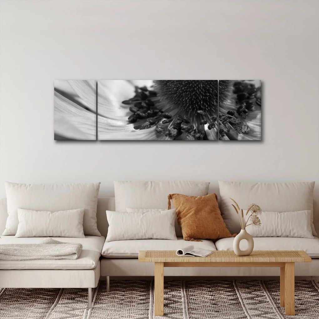 Obraz - Kwiat w czerni i bieli (170x50 cm)