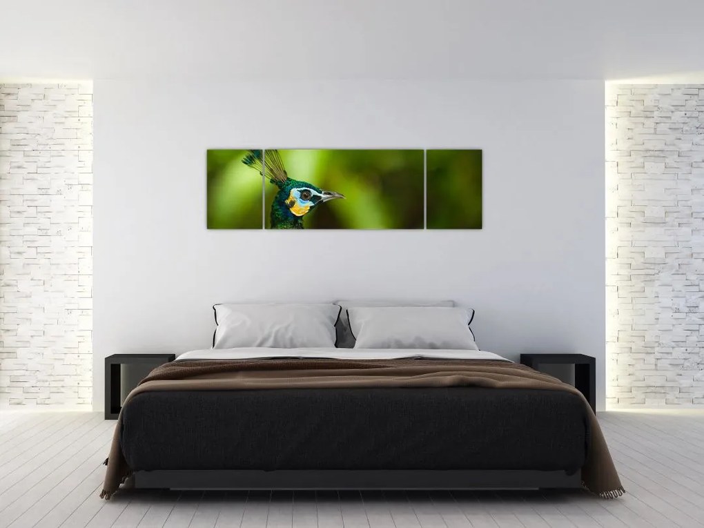 Obraz pawia (170x50 cm)