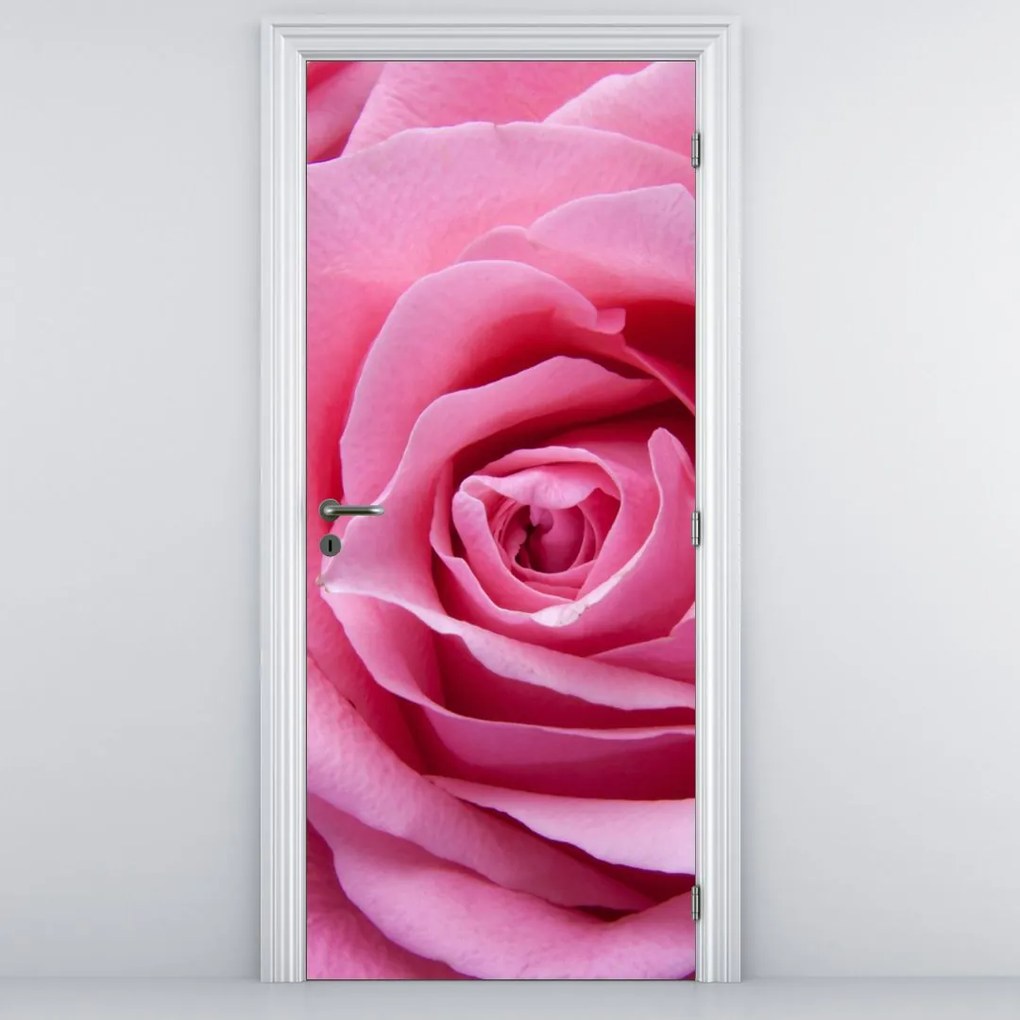 Fototapeta na drzwi - Róża (95x205cm)
