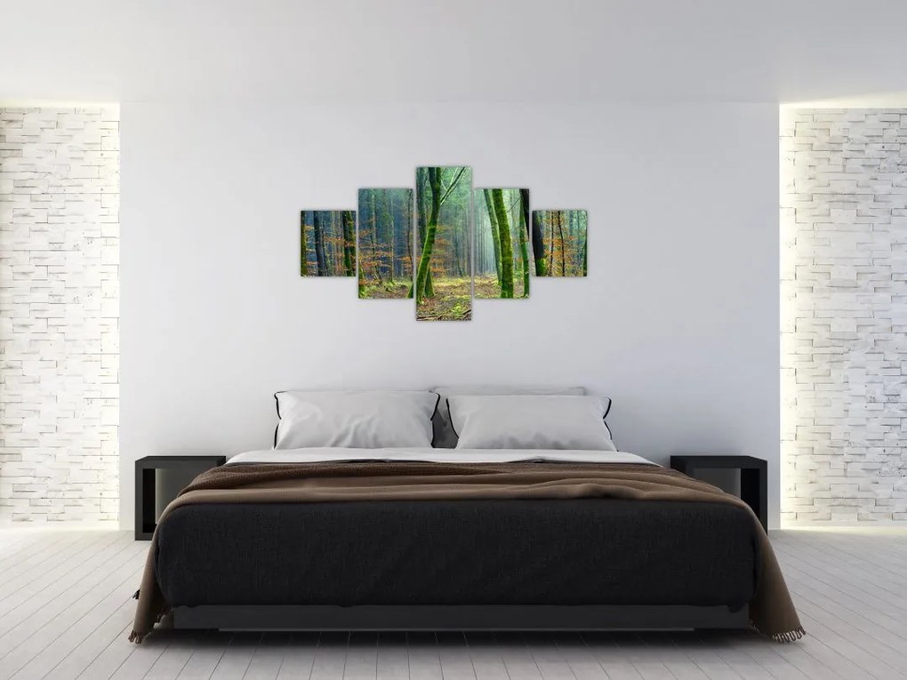 Obraz lasu (125x70 cm)