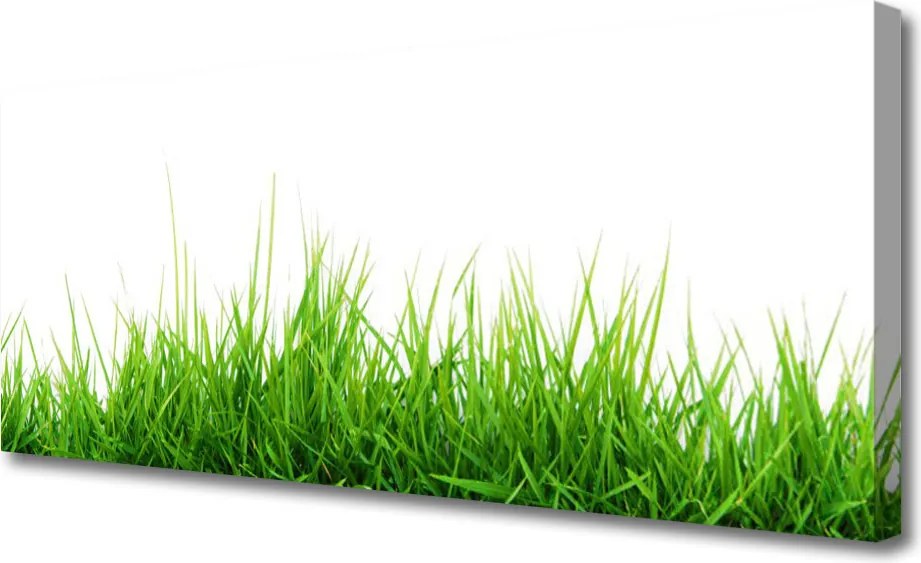 Fotoobraz na płótnie Naturalny Dywan Trawy