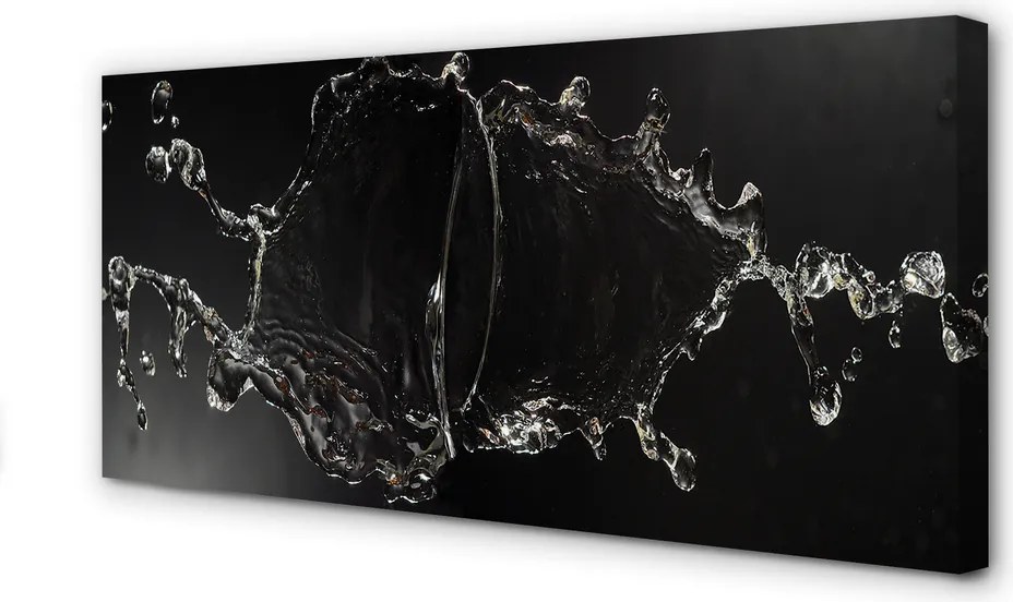 Obraz canvas na ścianę Dynamiczny Chlust Wody
