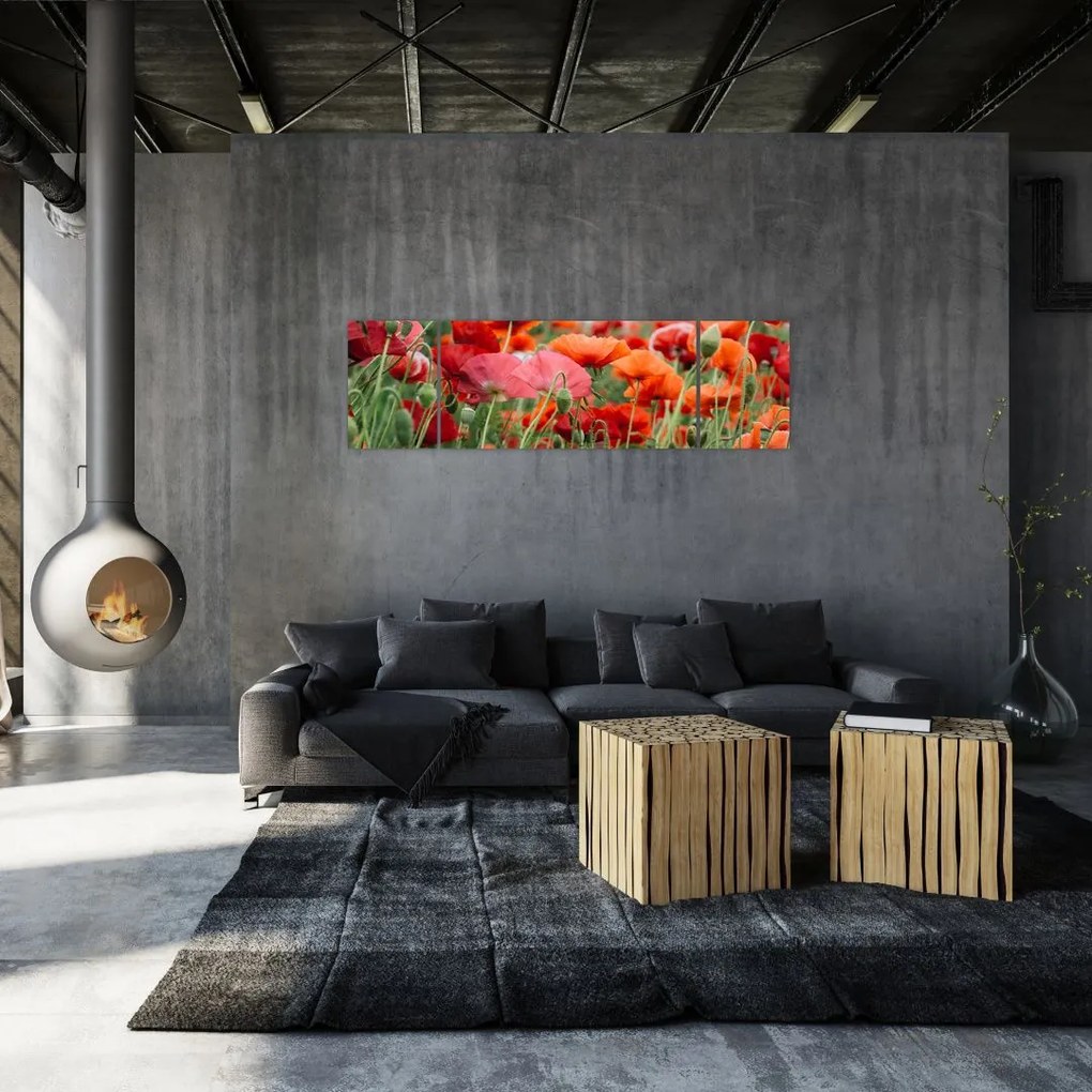 Obraz pola maków (170x50 cm)