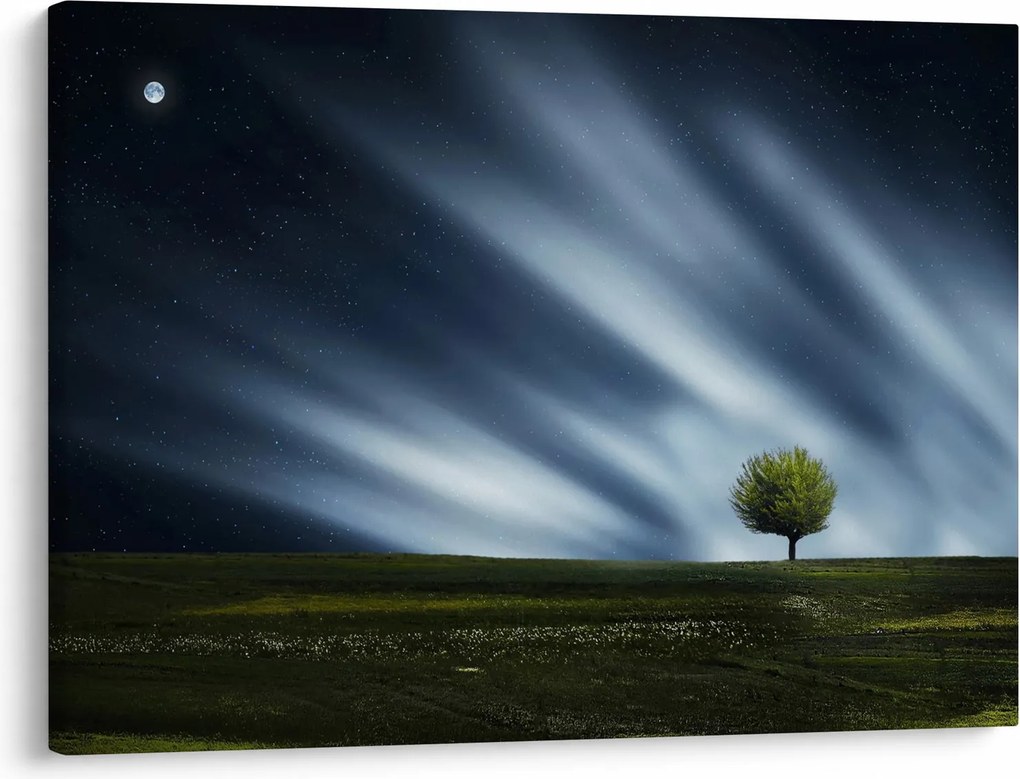 Obraz zorzy polarnej nad wrzosowiskami (70x50 cm)