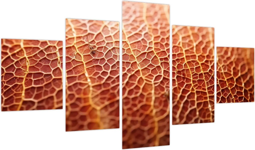 Obraz - Szczegóły tekstury (125x70 cm)