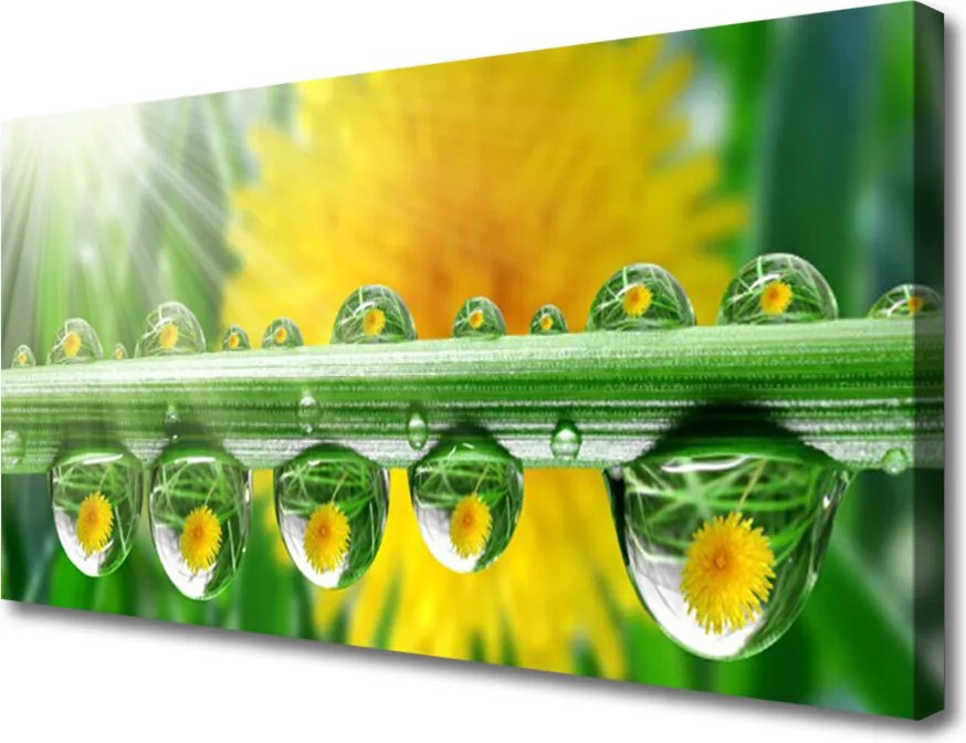 Obraz canvas Poranny Detal Roślinny