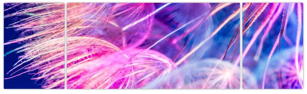 Obraz - Makro (170x50 cm)
