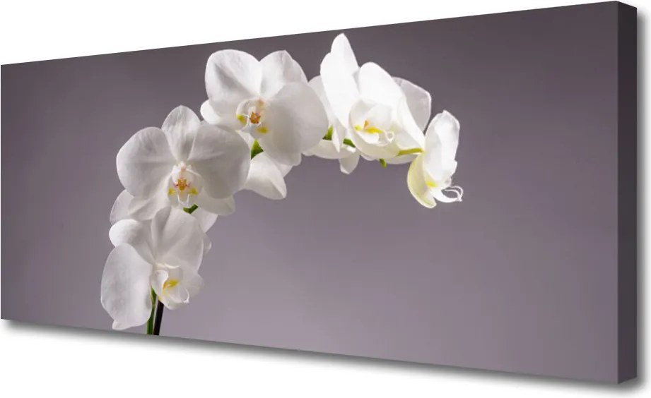 Obraz drukowany na płótnie Harmonijna Natura w Kwiatach