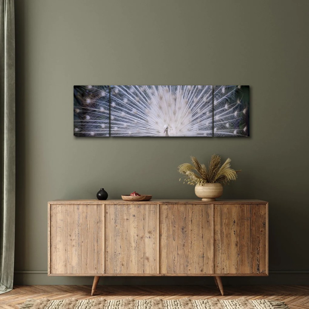 Obraz - Biały paw (170x50 cm)