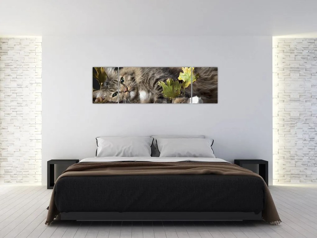 Obraz - Leżący kot (170x50 cm)