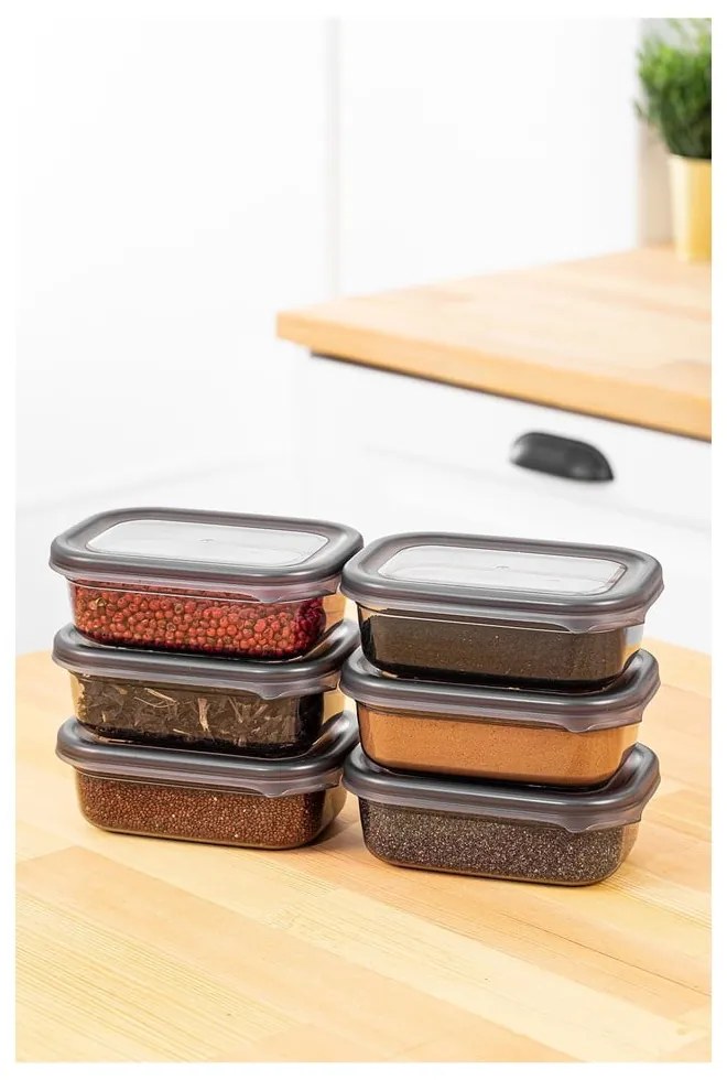 Pojemniki 6 szt. na żywność Fresco – Hermia