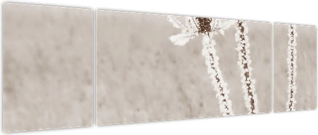 Obraz - Oset w zimie (170x50 cm)