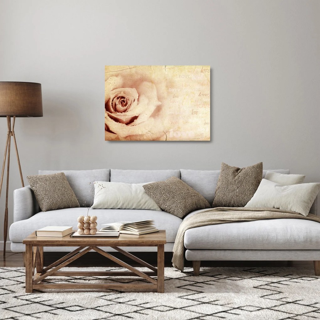 Obraz na szkle - Kwiat róży dla zakochanych (70x50 cm)