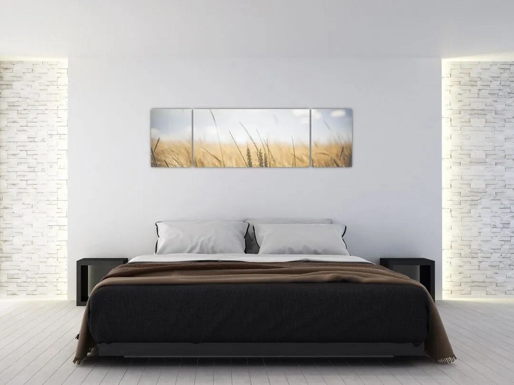Obraz ziarna (170x50 cm)