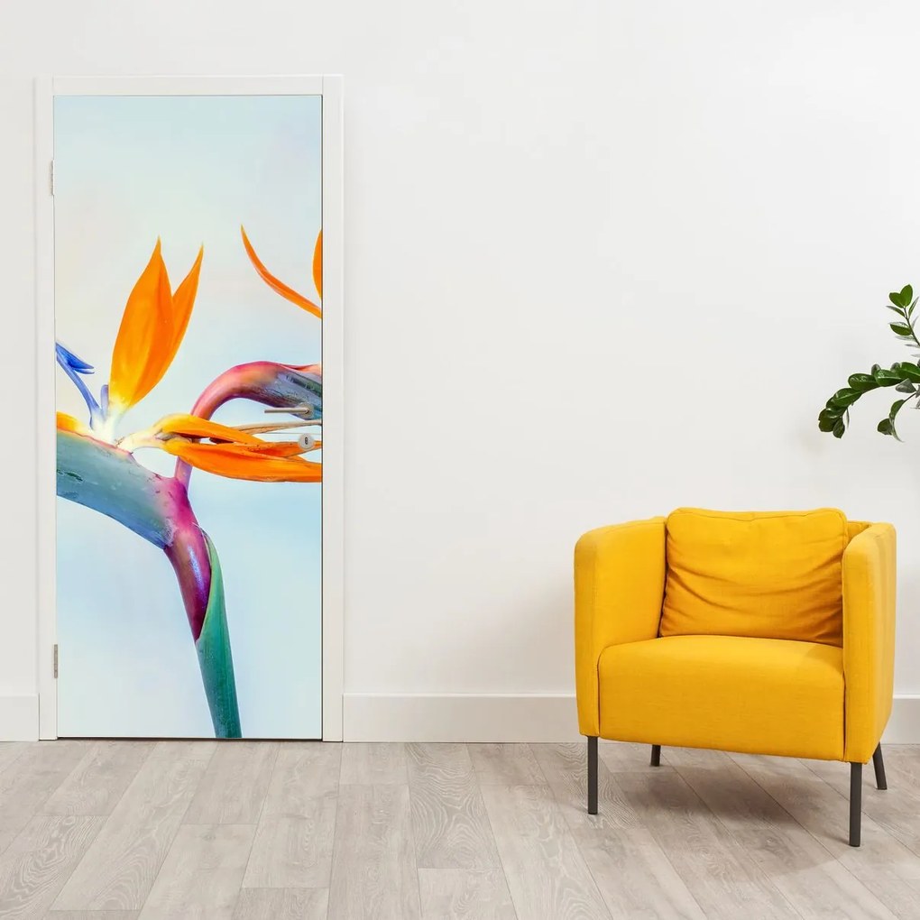 Fototapeta na drzwi - Kwiaty Strelicji (95x205cm)