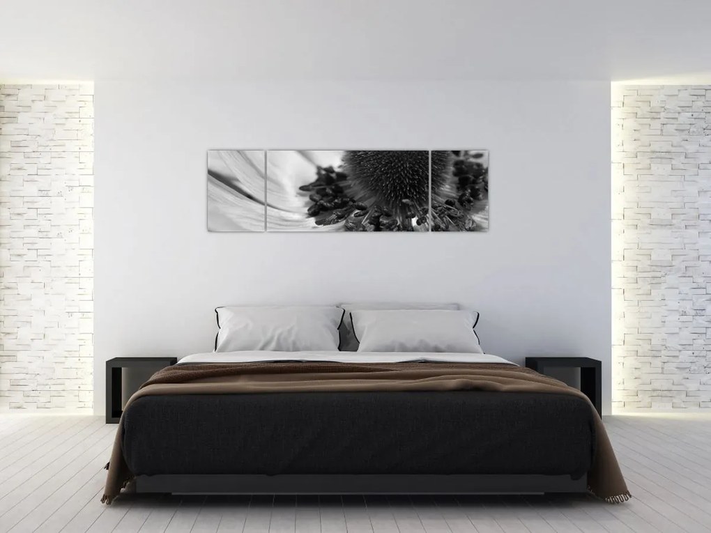 Obraz - Kwiat w czerni i bieli (170x50 cm)