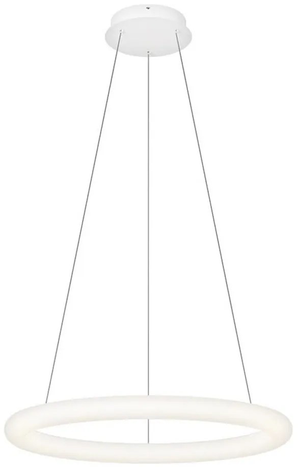 Top Light -LED ściemnialny żyrandol na lince RINGO LED/40W/230V 3000-6500K biały+pilot