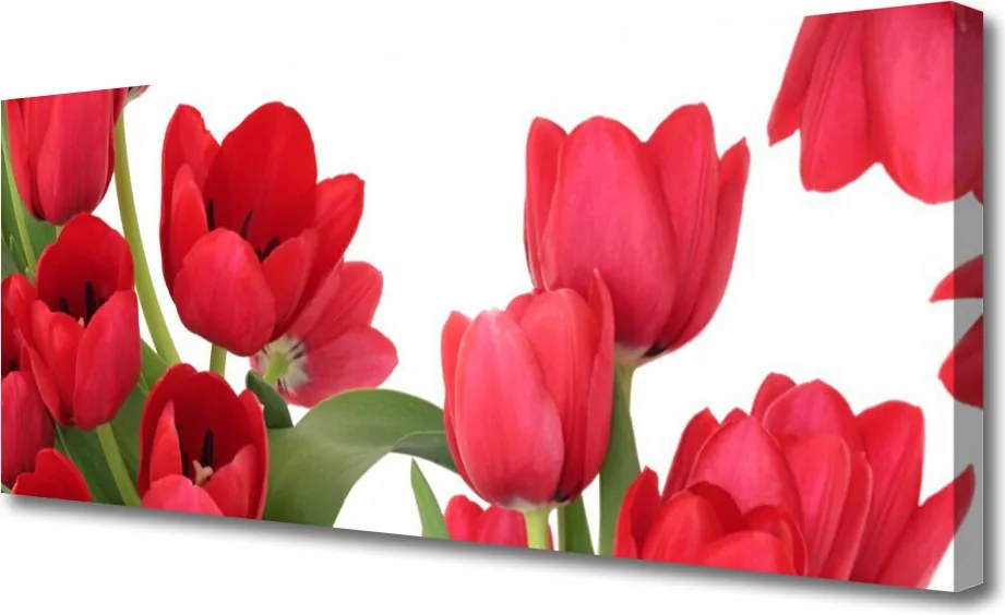 Obraz canvas Świeże Tulipany w Rozkwicie