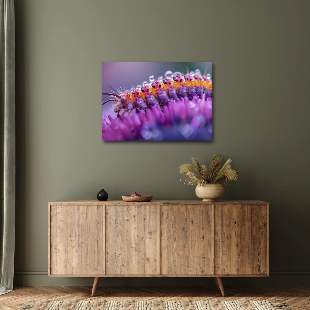 Obraz - Caterpillar (70x50 cm)