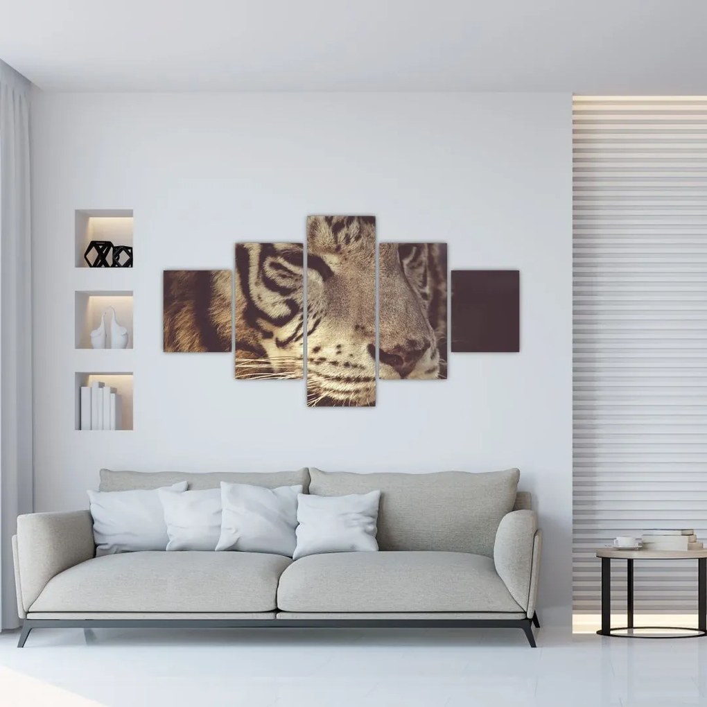 Obraz tygrysa (125x70 cm)