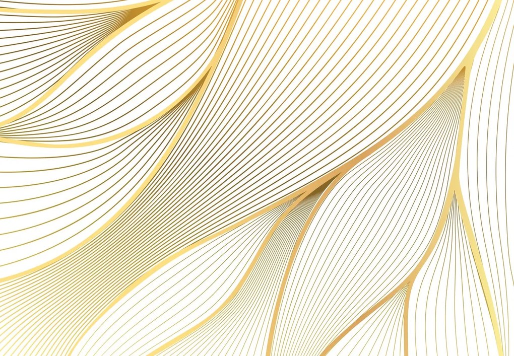 Fototapeta - Złota abstrakcja (196x136 cm)