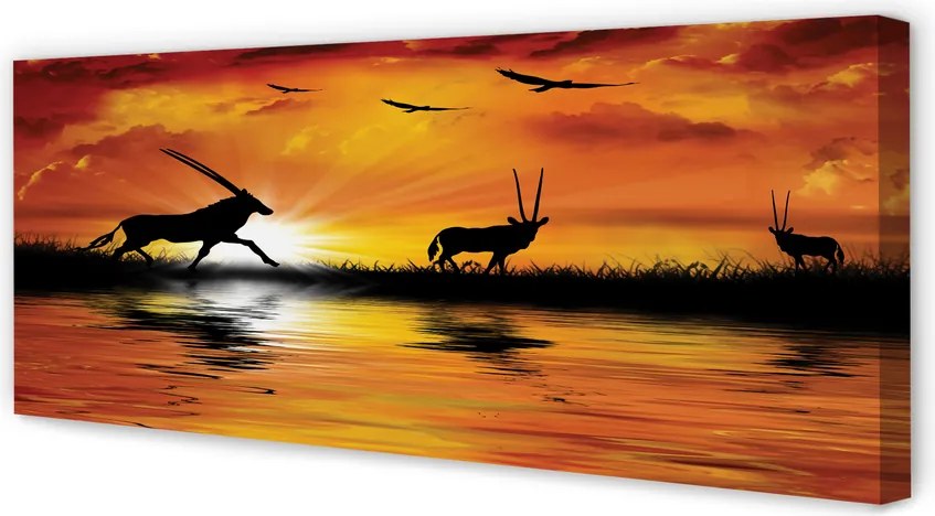 Zdjęcie na płótnie Ptaki nad Jeziorem o Zachodzie