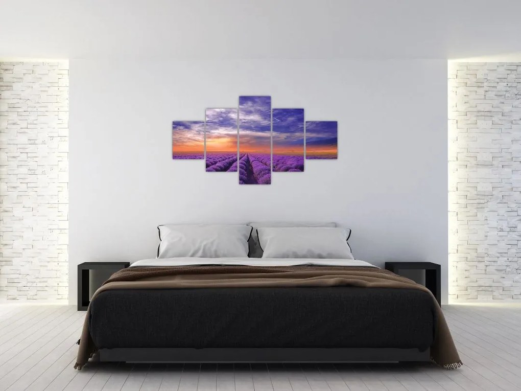 Obraz lawendowego pola (125x70 cm)