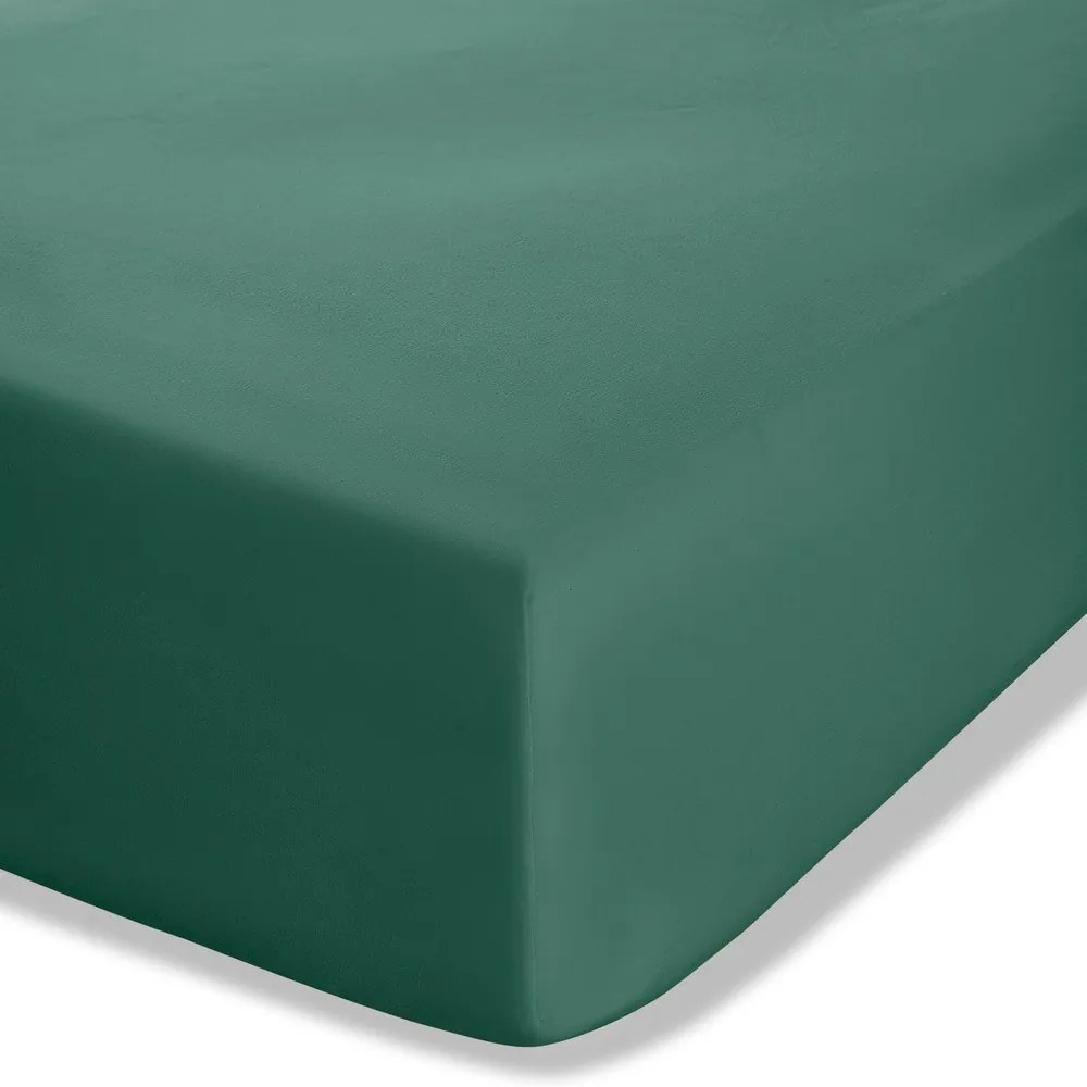 Ciemnozielone prześcieradło z perkalu z gumką 135x190 cm Easy Iron Percale – Catherine Lansfield