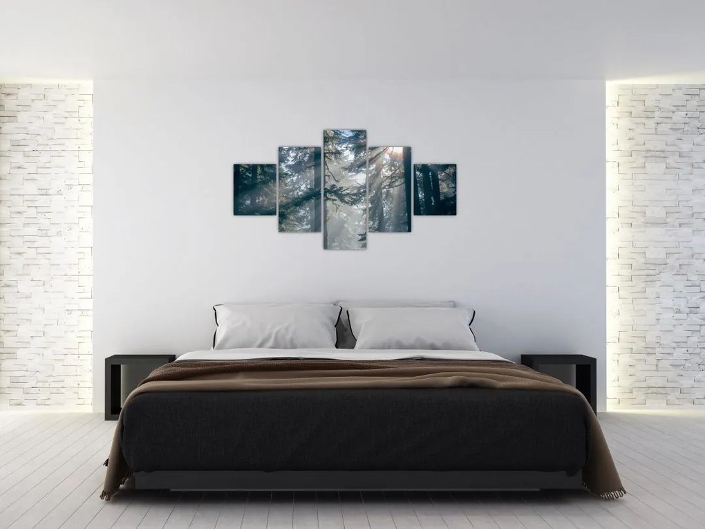 Obraz drzew, przez które prześwieca słońce (125x70 cm)