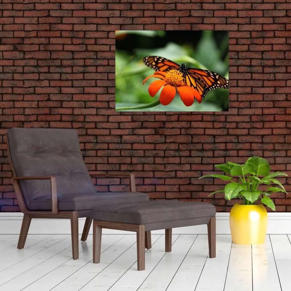 Obraz motyla na kwiatku (70x50 cm)