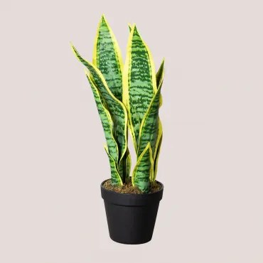 Sztuczna Roślina Dekoracyjna ↑45 Cm Sansevieria ↑45 Cm - Sklum