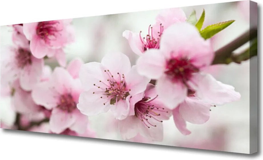 Obraz na płótnie Harmonijna Roślinność Kwiatowa