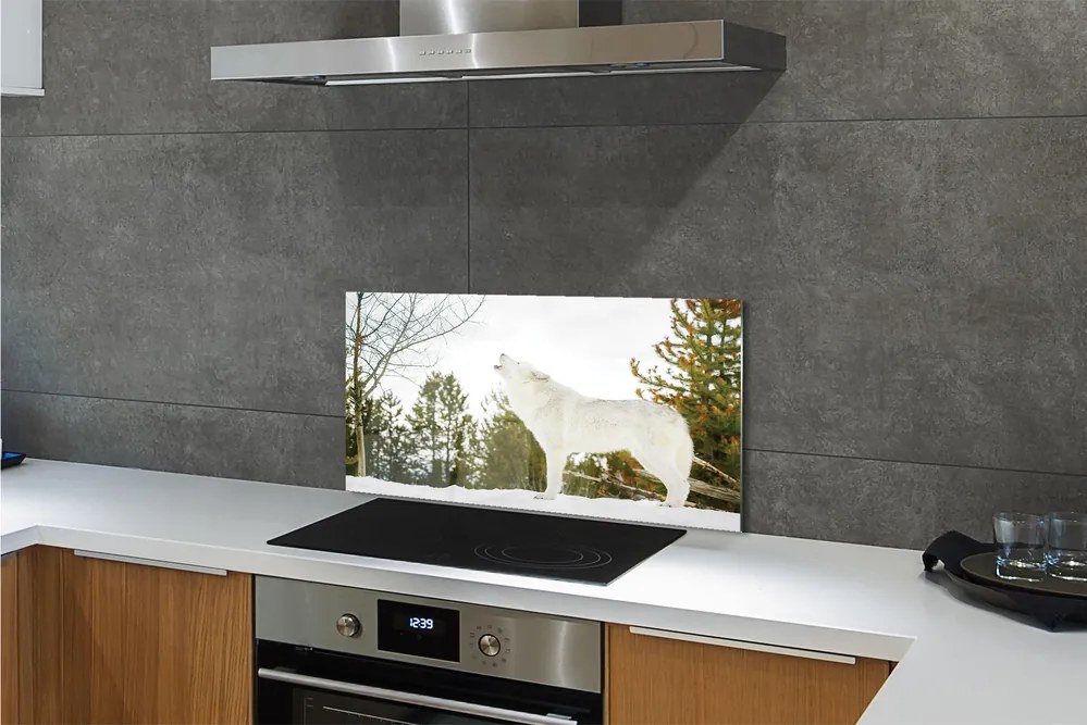 Panel nad Blat Kuchenny Wilk w Śnieżnej Puszczy