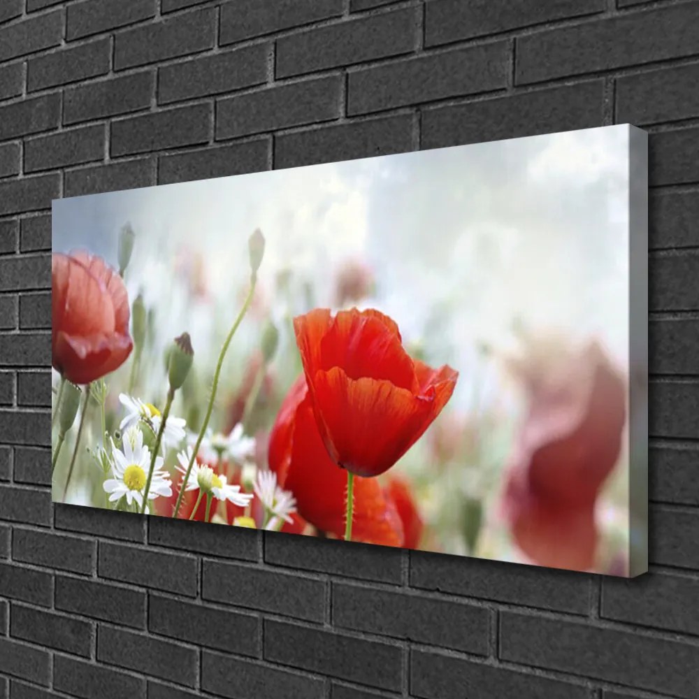 Obraz canvas Płatki Kwiatów w Makro