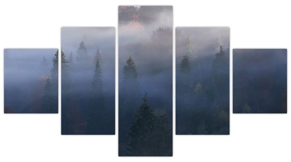 Obraz - Las we mgle, Karpaty, Ukraina (125x70 cm)