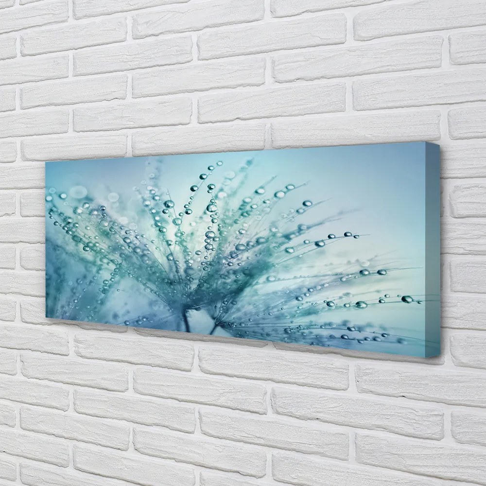 Obraz canvas na ścianę Ulotne Krople na Dmuchawcu