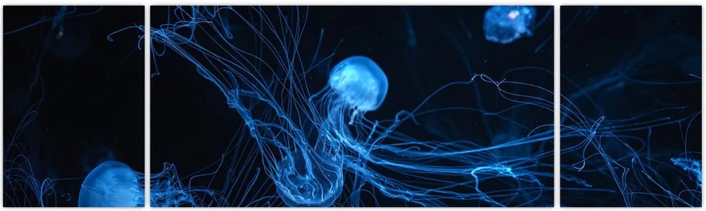 Obraz - Meduza (170x50 cm)