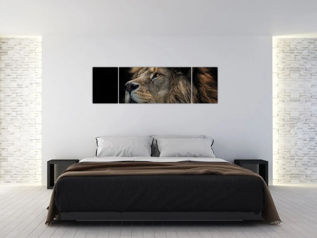 Obraz - Majestatyczny lew (170x50 cm)
