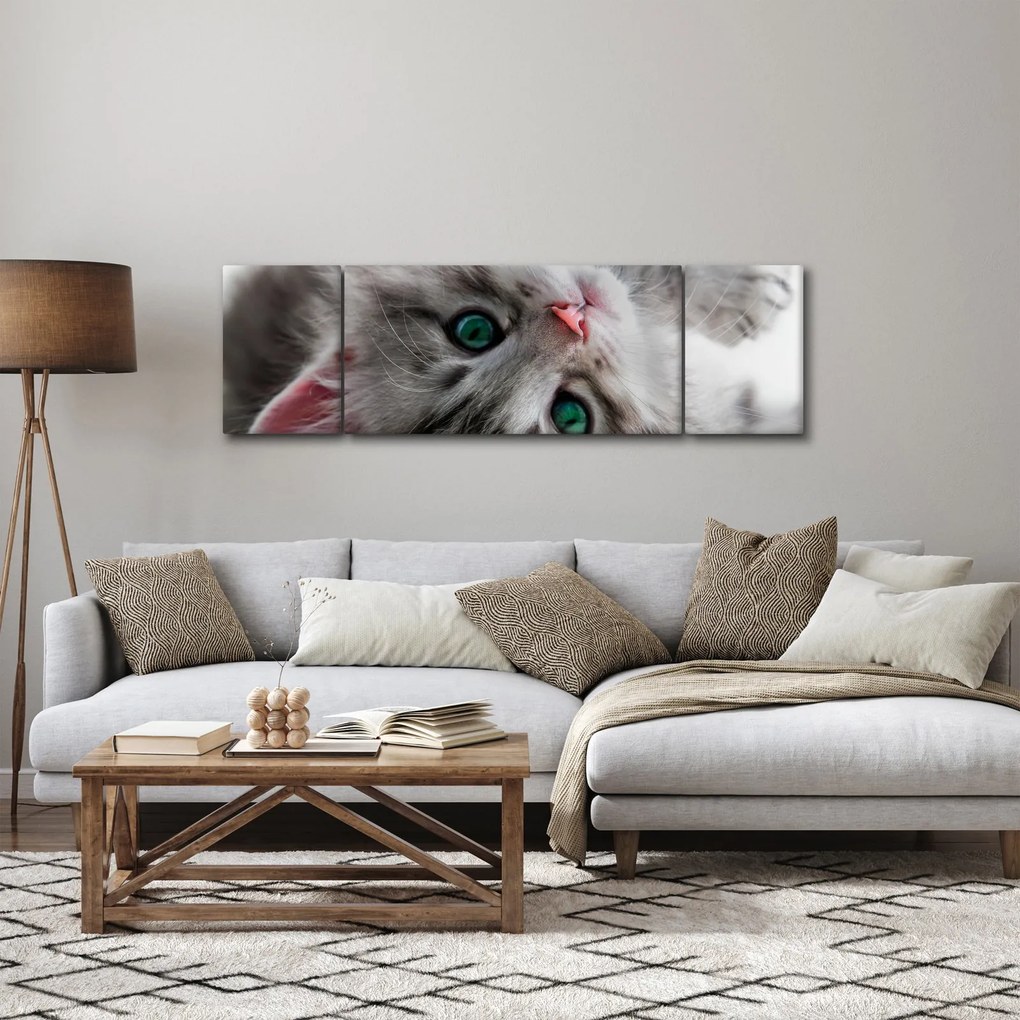 Obraz - Kot z zielonymi oczami (170x50 cm)