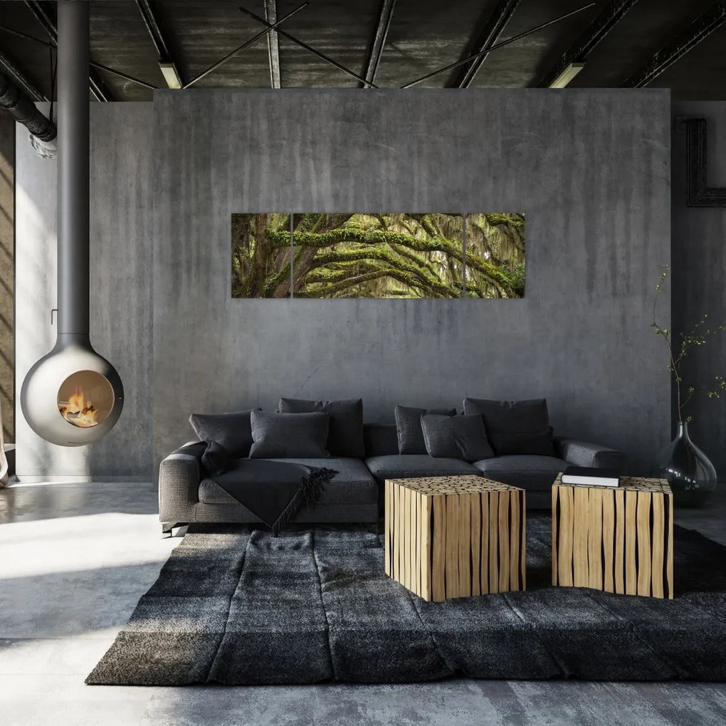 Obraz - Oaks Avenue, Charleston, Karolina Południowa, USA (170x50 cm)