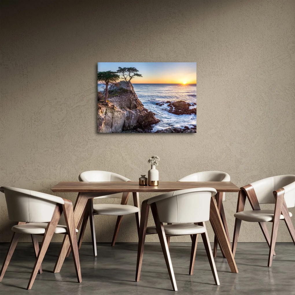 Obraz - Wybrzeże Pacyfiku (70x50 cm)