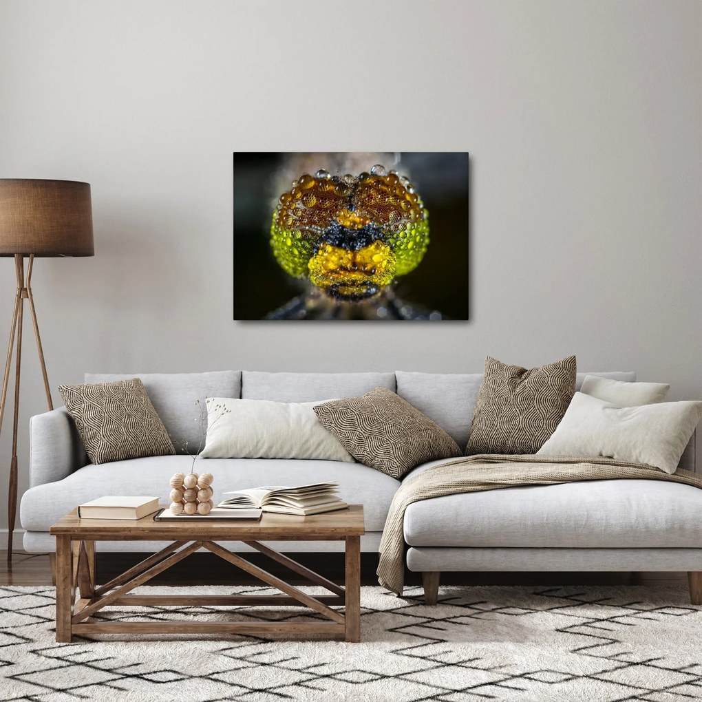 Szczegółowy obraz oczu owadów (70x50 cm)