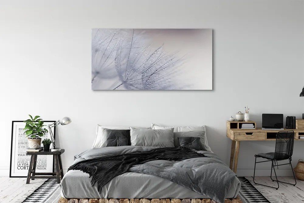 Duży obraz na płótnie Dmuchawce w Porannej Rosie