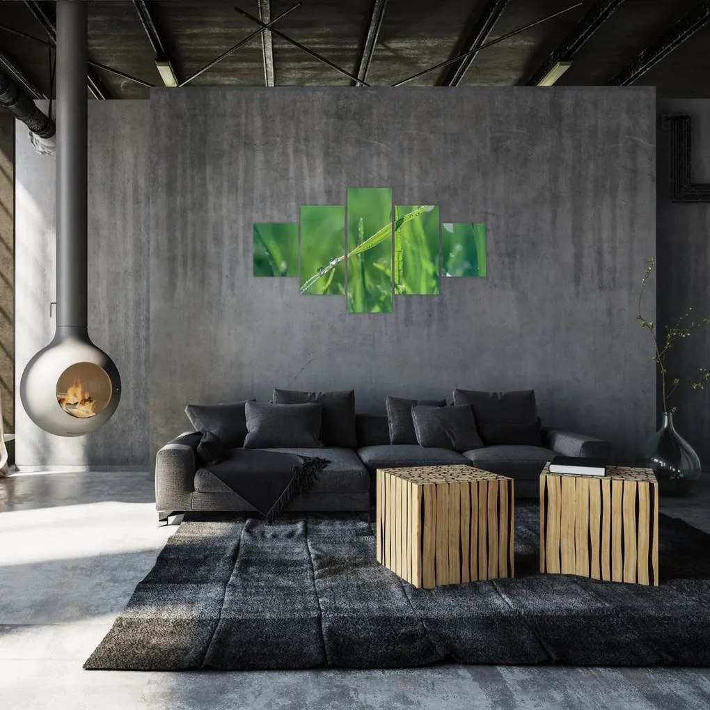 Obraz kropli rosy (125x70 cm)