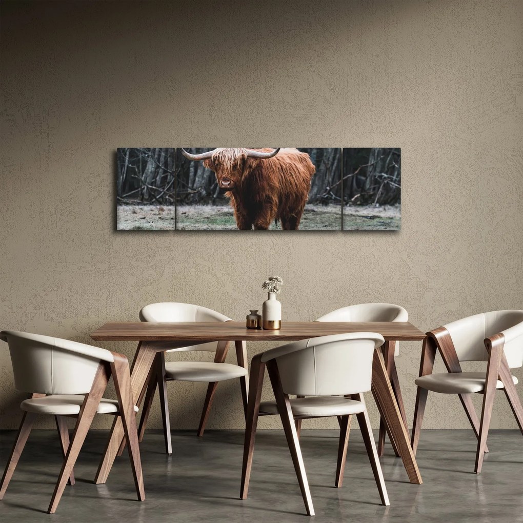 Obraz - Szkocka krowa 2 (170x50 cm)