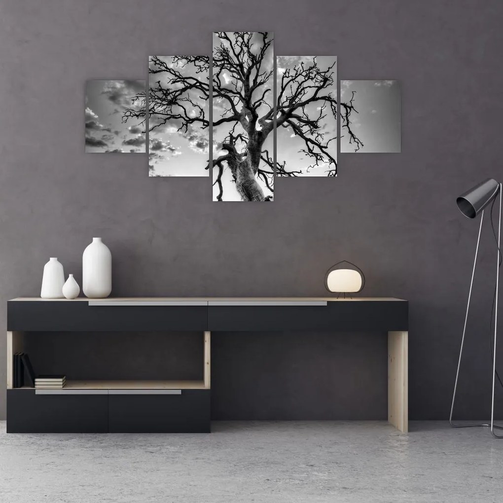 Obraz - Czarno - białe drzewo (125x70 cm)