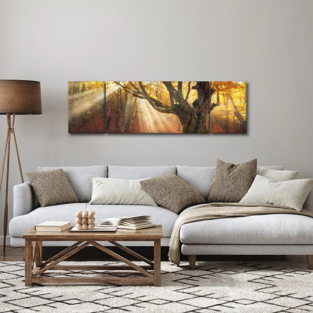 Obraz - Jesienny świt (170x50 cm)