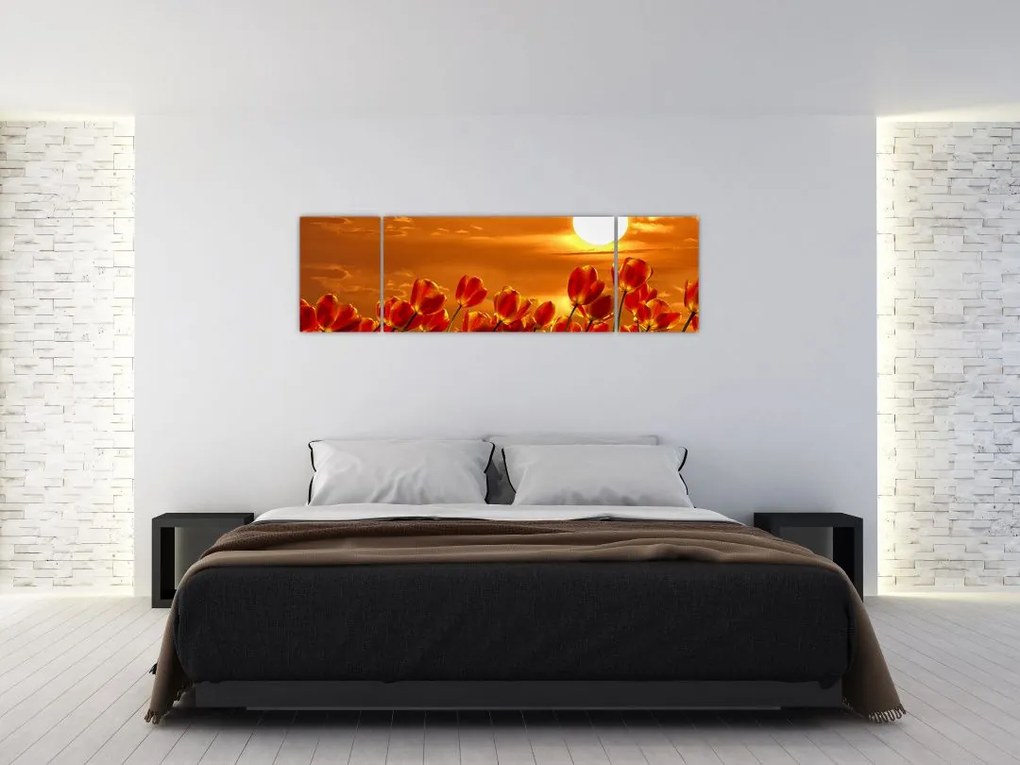 Obraz kwitnącego pola z tulipanami (170x50 cm)