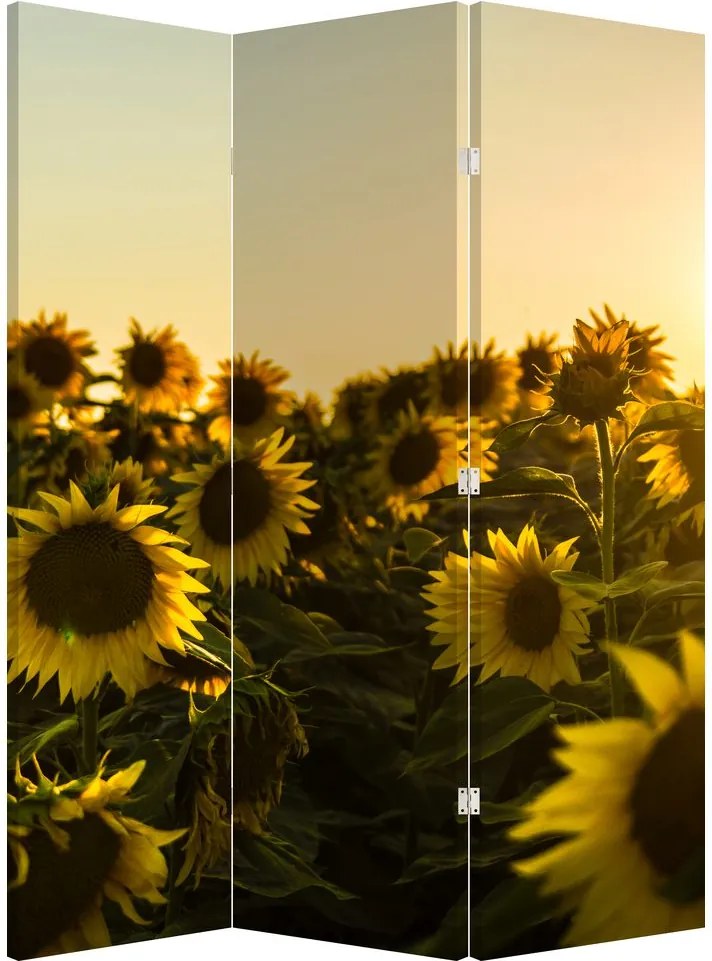 Parawan - Pole słoneczników (126x170 cm)
